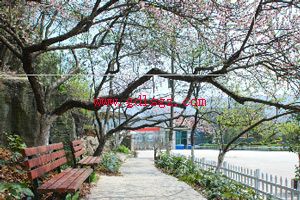 龍里中等職業(yè)學(xué)校環(huán)境