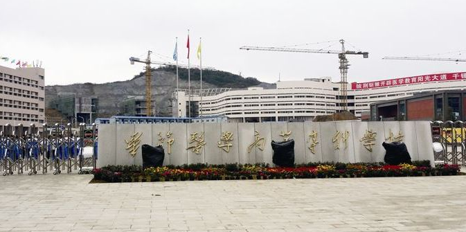 畢節(jié)醫(yī)藥高等?？茖W(xué)校校門