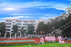 重慶市南丁衛(wèi)生職業(yè)學校（南丁衛(wèi)校）圖片