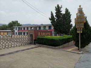 靈臺縣職業(yè)中等專業(yè)學(xué)校（靈臺職業(yè)中專）圖片