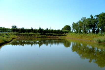 黑龍江農(nóng)墾機(jī)械化學(xué)校環(huán)境、學(xué)校圖片