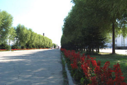 黑龍江農(nóng)墾機(jī)械化學(xué)校環(huán)境、學(xué)校圖片