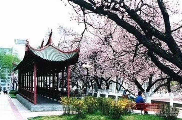 哈爾濱市信息工程職業(yè)技術(shù)學(xué)校環(huán)境、學(xué)校圖片