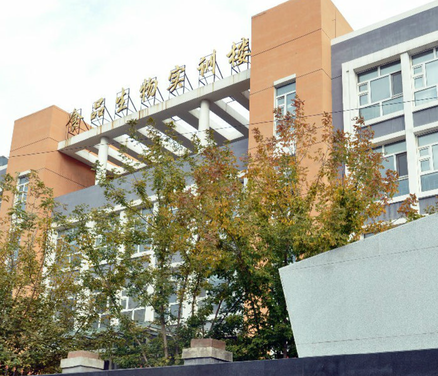 哈爾濱輕工業(yè)學(xué)校開設(shè)專業(yè)、有哪些專業(yè)
