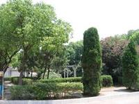 蕪湖河運(yùn)學(xué)校怎么樣、好不好