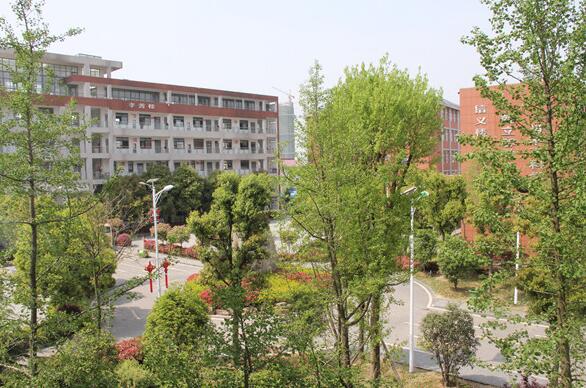 合肥理工學(xué)校2020