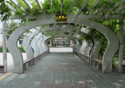淮北衛(wèi)生學校環(huán)境圖