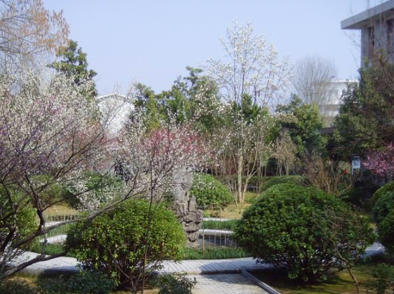 休寧徽匠學(xué)校