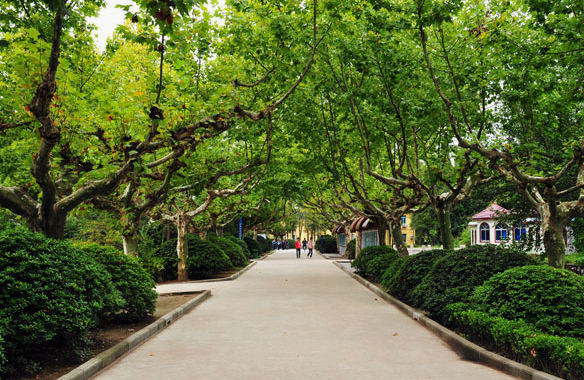 梧州市第一職業(yè)中等專業(yè)學(xué)校