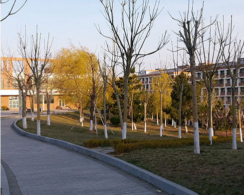 青島民航職業(yè)學校
