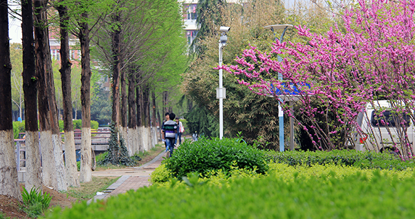安徽新華學(xué)校
