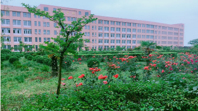 廣西右江民族商業(yè)學校