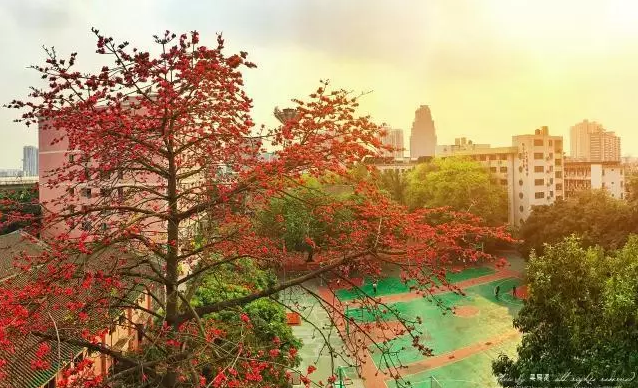 廣東省商業(yè)職業(yè)技術(shù)學(xué)校學(xué)費多少、學(xué)校收費標(biāo)準