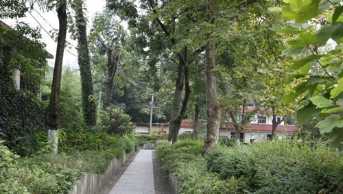 貴陽(yáng)市經(jīng)濟(jì)貿(mào)易中等專(zhuān)業(yè)學(xué)校林蔭小道
