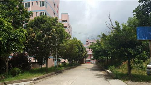 黔西南州機電職業(yè)技術(shù)學校校園一角