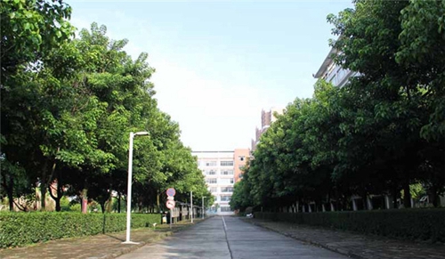 四川省南充外國語中等專業(yè)學校圖片、照片