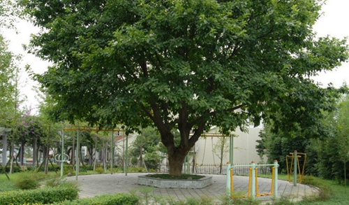 宜賓三峽機電職業(yè)技術(shù)學(xué)校圖片、照片
