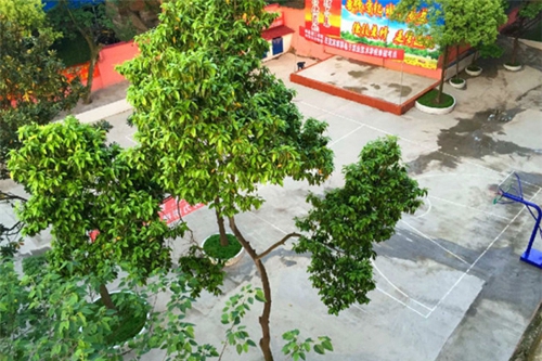 宜賓翠屏電子職業(yè)技術(shù)學(xué)校圖片、照片