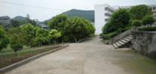四川省儀隴縣柳埡職業(yè)中學(xué)圖片、照片
