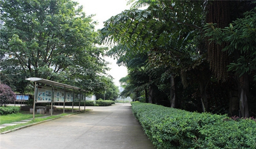 四川航天技師學(xué)院圖片、照片