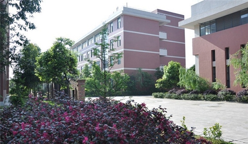 四川省邛崍市職業(yè)高級中學圖片、照片