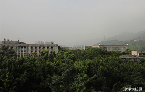 重慶知行衛(wèi)生學(xué)校沙坪壩圖片、照片