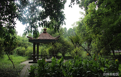 重慶知行衛(wèi)生學(xué)校沙坪壩圖片、照片