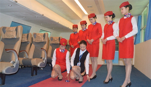 成都翔飛航空職業(yè)技術學校圖片、照片