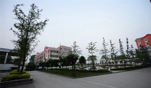 瀘縣建筑職業(yè)中專學(xué)校(瀘縣建校)圖片、照片