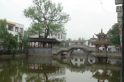 合江縣先市職業(yè)高級中學(xué)校圖片、照片