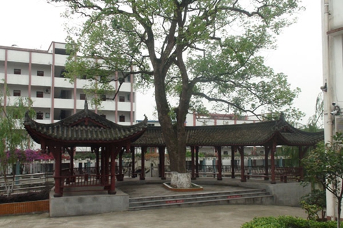 合江縣先市職業(yè)高級中學(xué)校圖片、照片