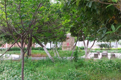 鹽亭縣職業(yè)技術(shù)學(xué)校(鹽亭職中)圖片、照片