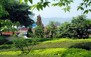 重慶市機(jī)械高級技工學(xué)校圖片、照片