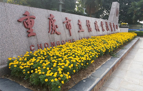 重慶市立信職業(yè)教育中心圖片、照片