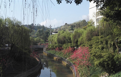 四川儀表工業(yè)學(xué)校圖片、照片