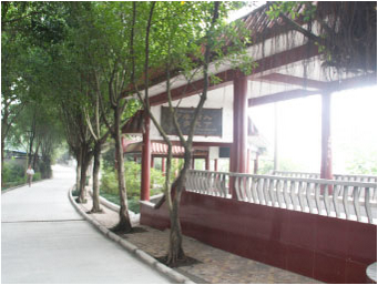 重慶市行知職業(yè)技術(shù)學(xué)校圖片、照片
