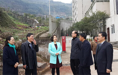 重慶市涪陵創(chuàng)新計算機學校圖片、照片