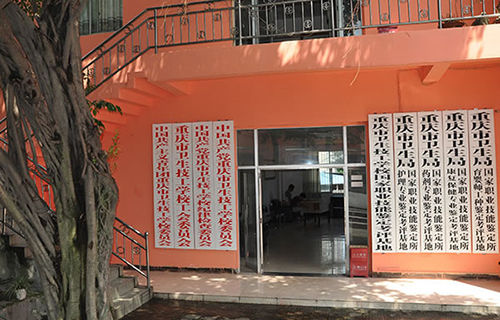 重慶衛(wèi)生技工學(xué)校環(huán)境、實(shí)訓(xùn)