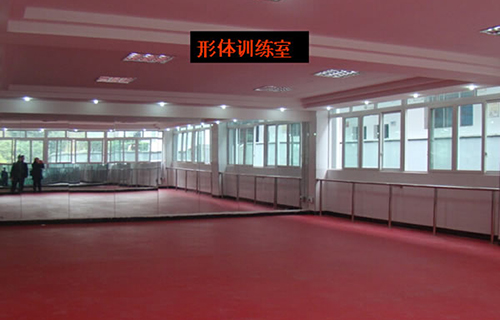 重慶涪陵創(chuàng)新計算機學(xué)校形體實訓(xùn)室