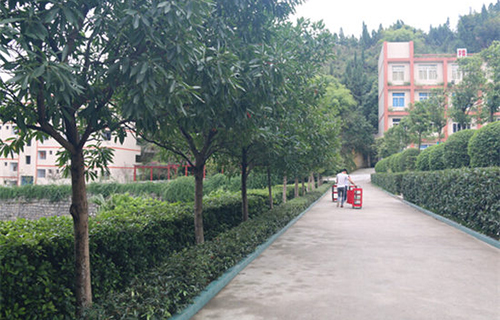 重慶涪陵信息技術(shù)學(xué)?；▓@