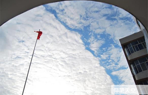 重慶行知高級技工學校仰望天空