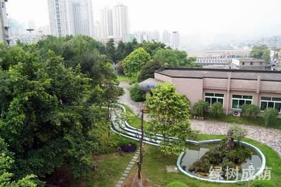 重慶機(jī)電工程技工學(xué)校綠樹成蔭