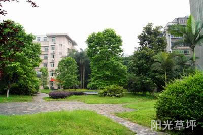 重慶機(jī)電工程技工學(xué)校陽光草坪