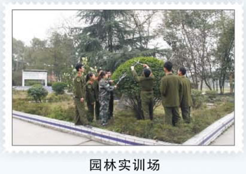 重慶茂森中等職業(yè)學校林園實訓場