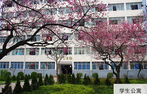 重慶春琿人文技工學校學生寢室1