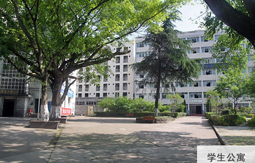 重慶春琿人文技工學校學生寢室3