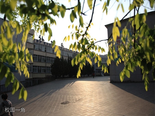 貴州盤江技校(貴州盤江投資控股集團(tuán)有限公司技工學(xué)校)校園一角