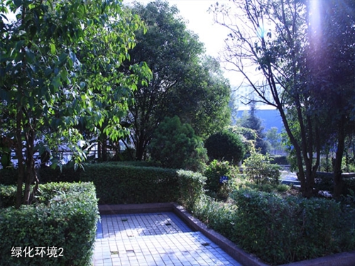 貴州盤江技校(貴州盤江投資控股集團(tuán)有限公司技工學(xué)校)綠化環(huán)境2