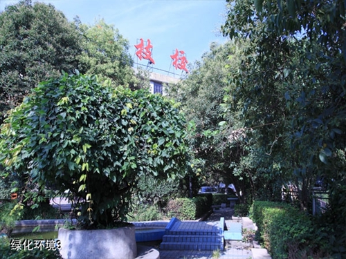 貴州盤江技校(貴州盤江投資控股集團(tuán)有限公司技工學(xué)校)綠化環(huán)境3