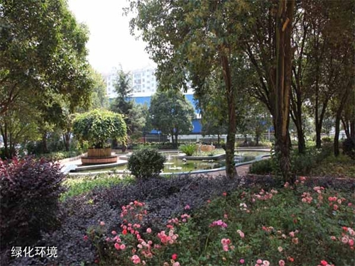 貴州盤江技校(貴州盤江投資控股集團(tuán)有限公司技工學(xué)校)綠化環(huán)境